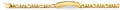 14K Yellow Gold Figaro Link Frame ID Bracelet