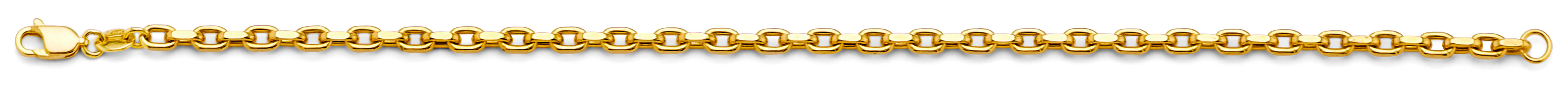 14K Yellow Gold 2.7 mm Hol-Flated Rolo Chain