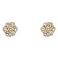 14K Yellow Gold CZ Earrings (ER322)