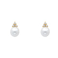 14K Yellow Gold CZ Pearl Earrings (ER438)
