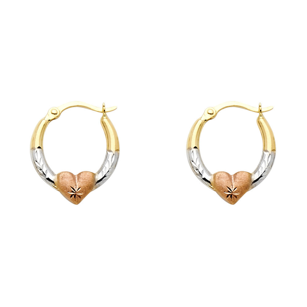 14K Yellow White Rose Gold Sm Fancy Earring With Heart
