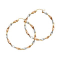 14K Yellow White Rose Gold Curled Hollow Hoop Earring