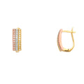 14K Yellow White Rose Gold Fancy CZ Earring
