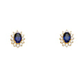 14K Yellow Gold Blue CZ Earring / Set