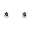 14K White Gold Blue CZ Earring / Set