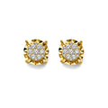 14K Yellow Gold CZ Cluster Earring / Set