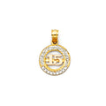14K Yellow White Rose Gold 15 Years Pendant