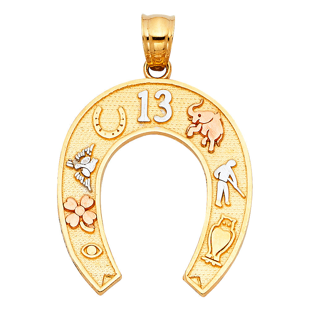 14K Yellow White Rose Gold Lucky Horseshoe Pendant