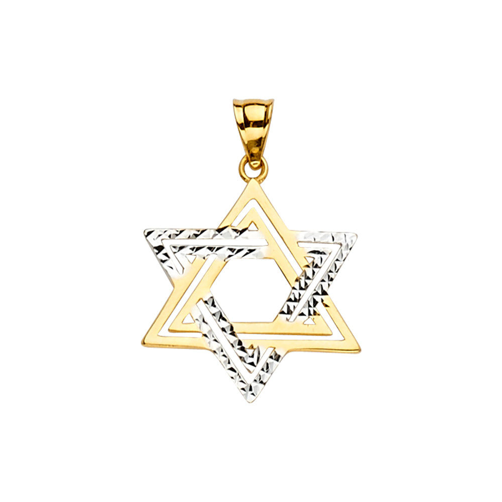 14K Two Tone Goldone Star Of David Pendant