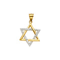 14K Two Tone Goldone Star Of David Pendant