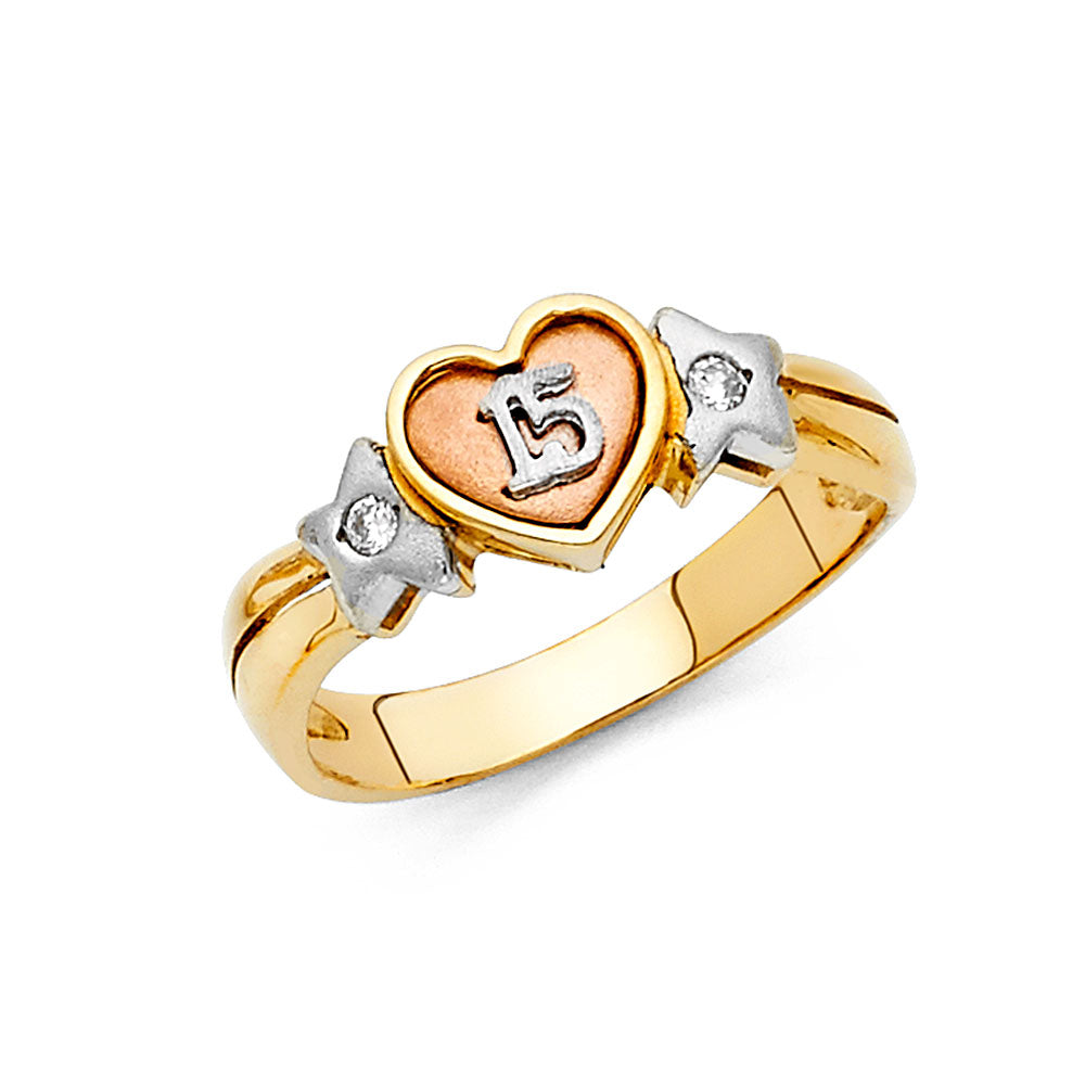 14K Yellow White Rose Gold CZ 15 Years Ring