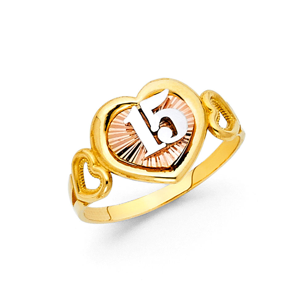 14K Yellow White Rose Gold 15 Years Ring