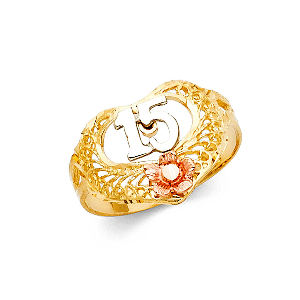 14K Yellow White Rose Gold 15 Years Ring