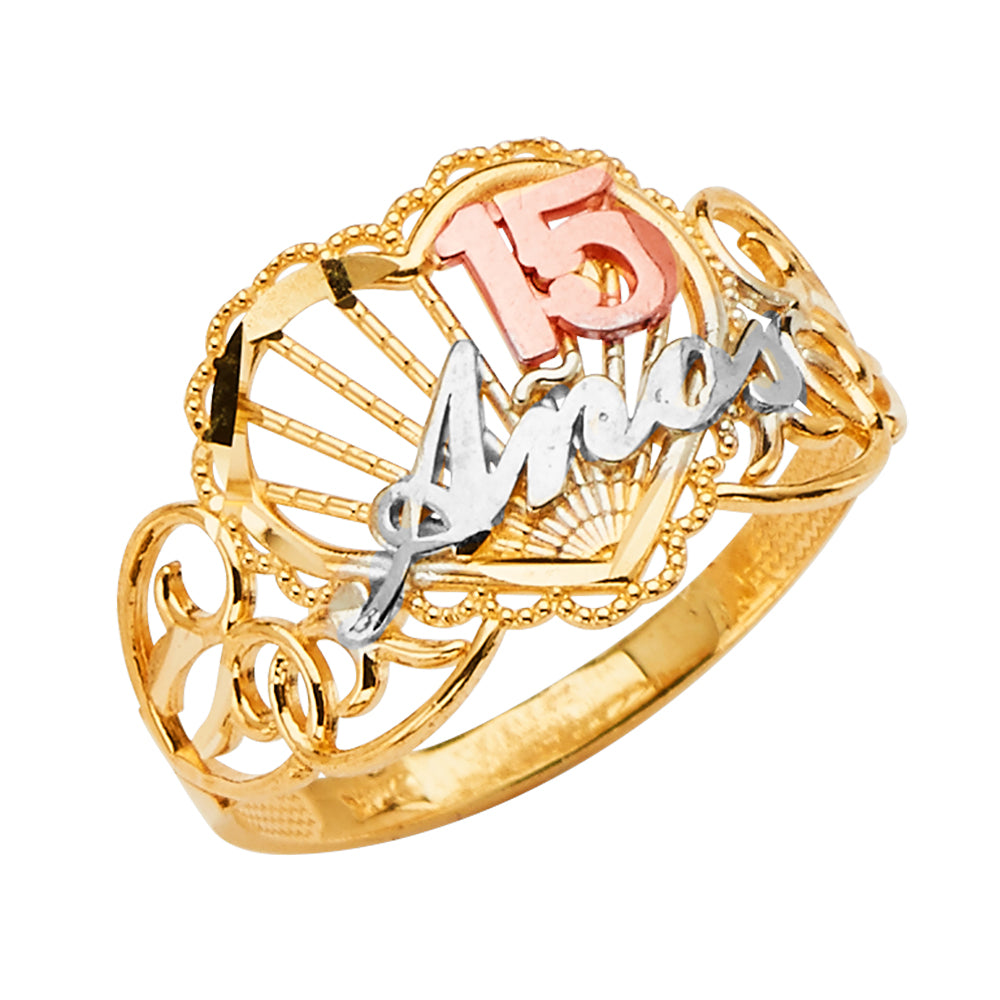 14K Yellow White Rose Gold 15 Years CZ Crown Ring