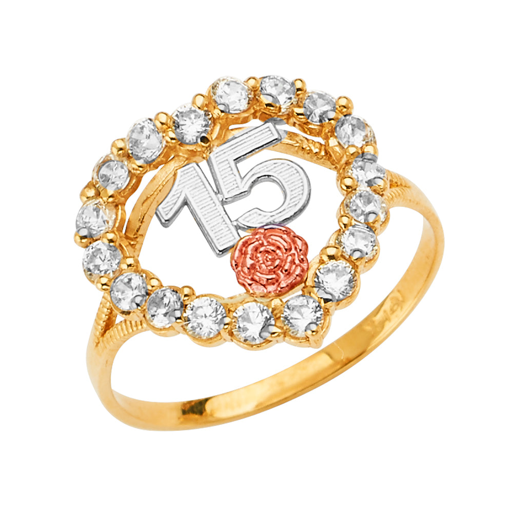 14K Yellow White Rose Gold 15 Years CZ Heart Ring