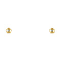 14K Yellow Gold Stud Earrings (ST446)
