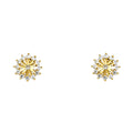 14K Yellow Gold CZ Stud with Screw Back