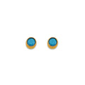 14K Yellow Gold Round Turquoise Stud Earrings W/ Screw Back
