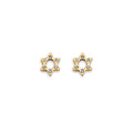 14K Yellow Gold Star CZ Stud Earring W/ Screw Back