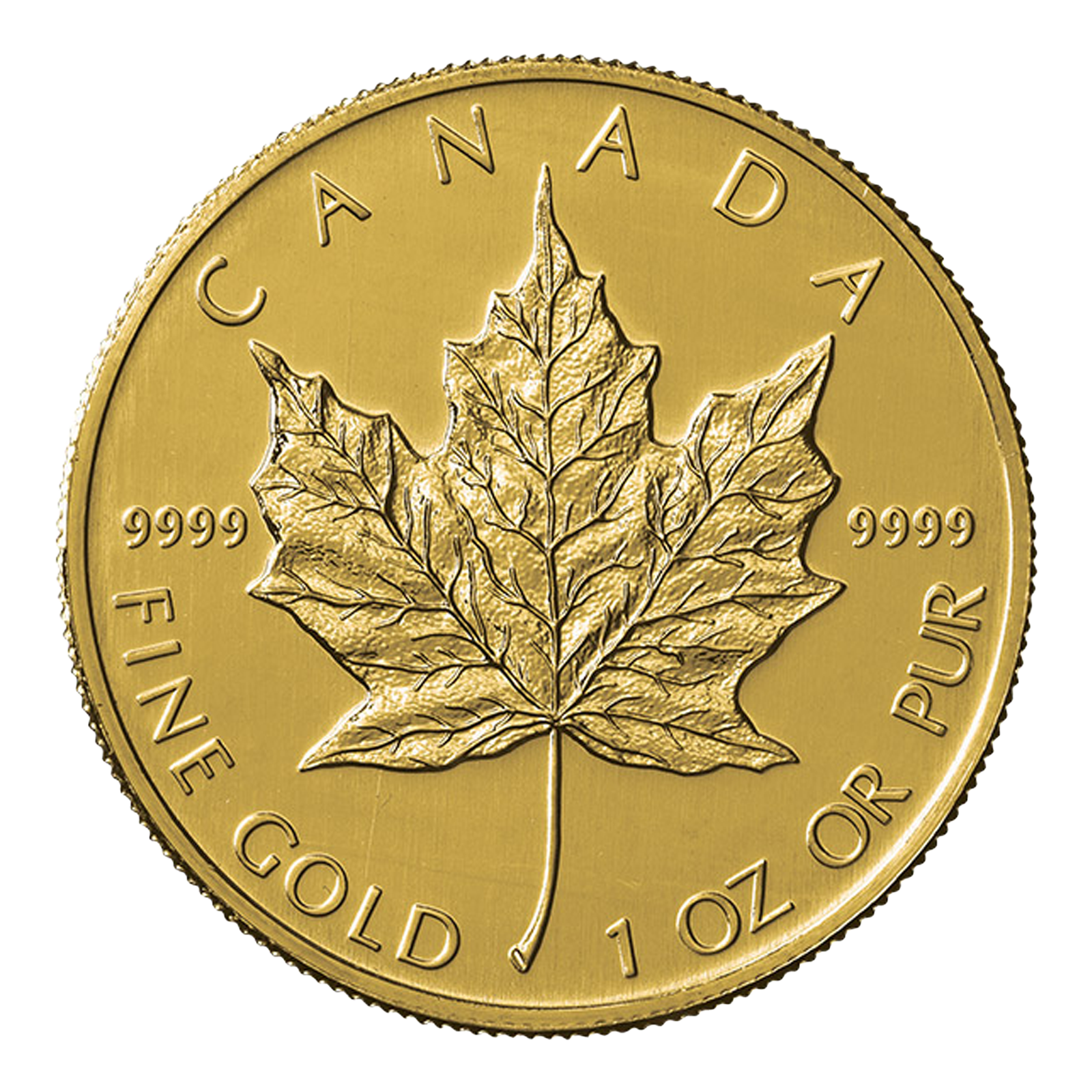1 oz Gold Maple Leaf Coins