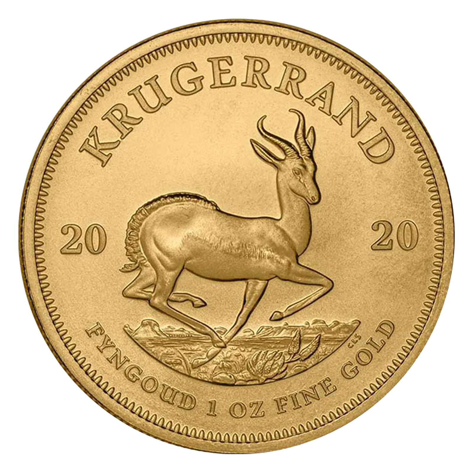 1 oz South African Gold Krugerrand Coins