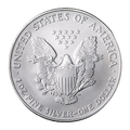 1 oz Silver American Eagle Coins