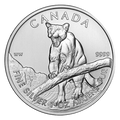 2012 1 oz Silver Cougar Coins - Canadian Wildlife Series Coin
