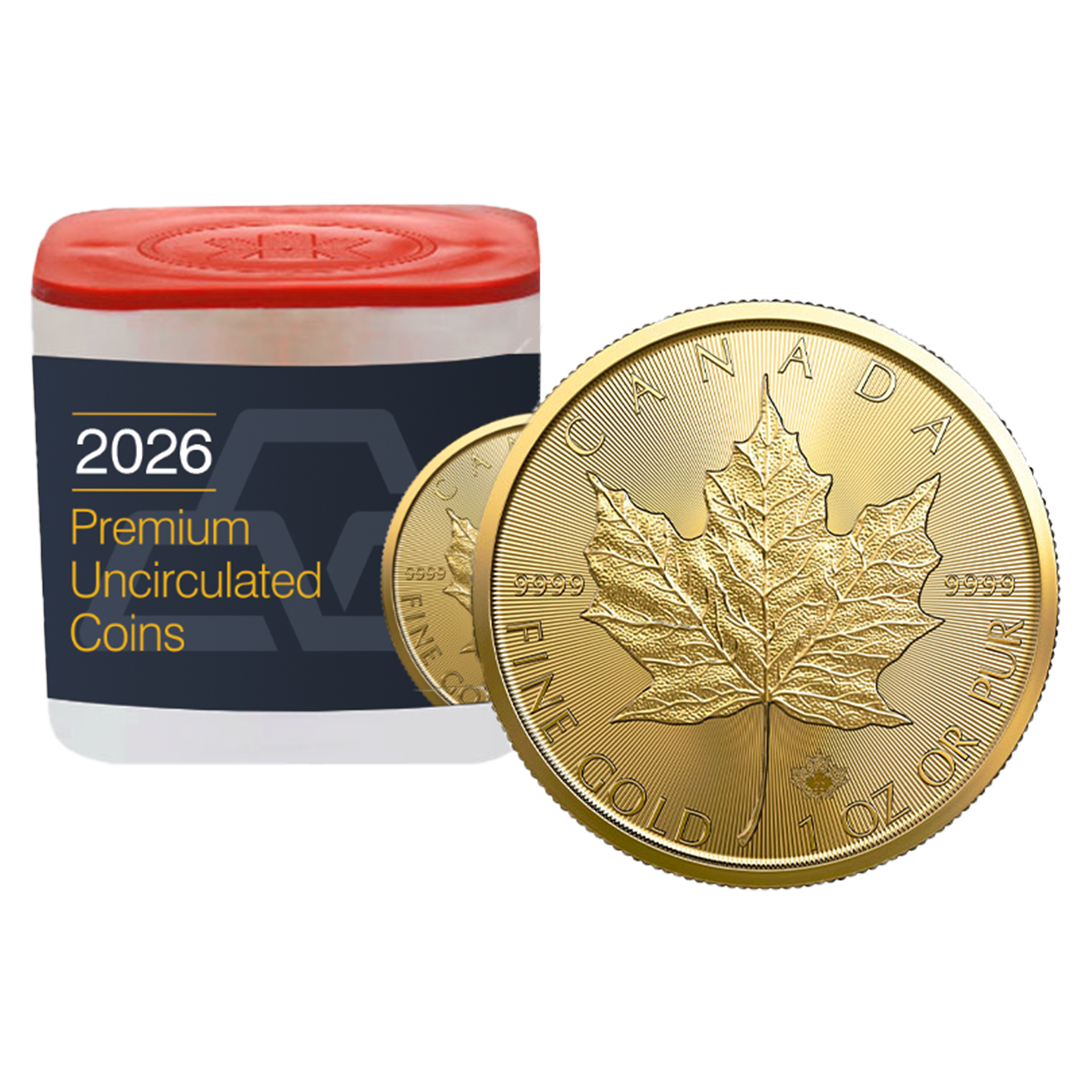 2026 MintFirst™ 1 oz Gold Maple Leaf Coins (tube of 10)